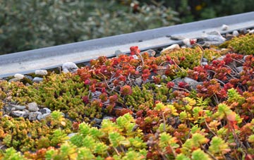 the cost of Knotty Corner green roof installation
