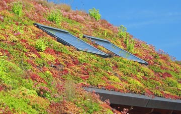 Knotty Corner living roof systems