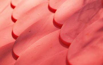 Knotty Corner plastic roof costs